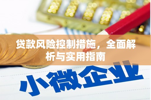 梓潼贷款风险控制措施，全面解析与实用指南
