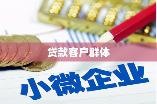 梓潼贷款客户群体