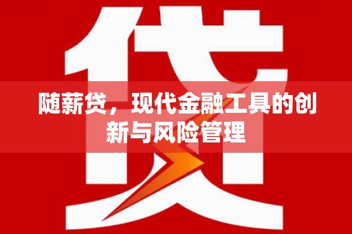 梓潼随薪贷，现代金融工具的创新与风险管理