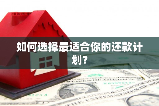 梓潼如何选择最适合你的还款计划？