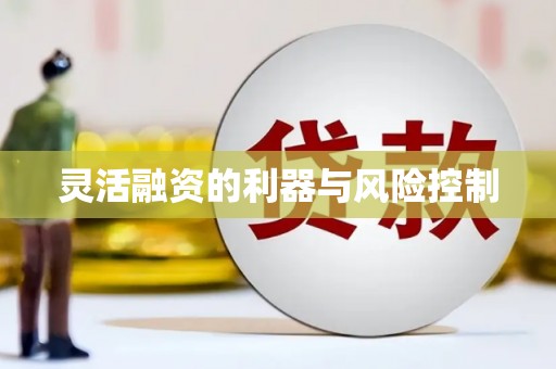 梓潼灵活融资的利器与风险控制