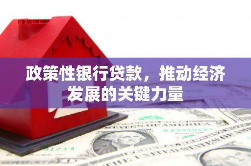 梓潼政策性银行贷款，推动经济发展的关键力量