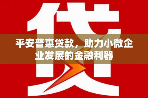 梓潼平安普惠贷款，助力小微企业发展的金融利器