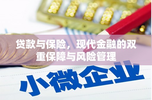 梓潼贷款与保险，现代金融的双重保障与风险管理