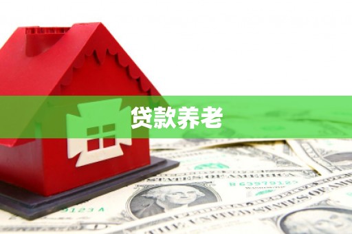 梓潼贷款养老