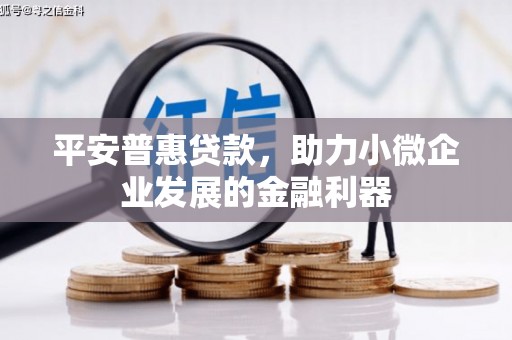 梓潼平安普惠贷款，助力小微企业发展的金融利器