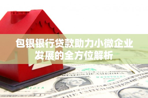 梓潼包银银行贷款助力小微企业发展的全方位解析