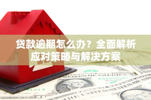梓潼贷款逾期怎么办？全面解析应对策略与解决方案