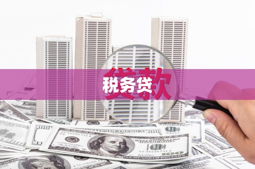 梓潼税务贷