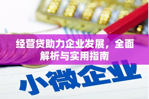 梓潼经营贷助力企业发展，全面解析与实用指南
