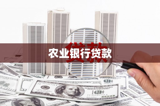 梓潼农业银行贷款