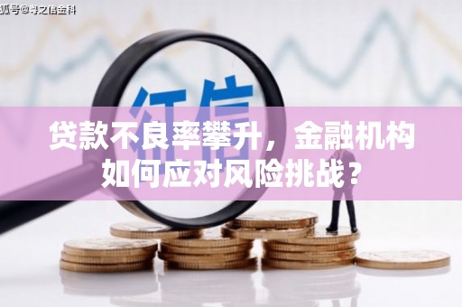 梓潼贷款不良率攀升，金融机构如何应对风险挑战？