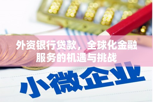 梓潼外资银行贷款，全球化金融服务的机遇与挑战