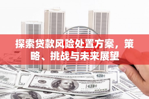 梓潼探索贷款风险处置方案，策略、挑战与未来展望