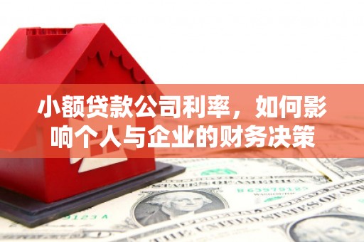 梓潼小额贷款公司利率，如何影响个人与企业的财务决策