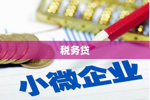 梓潼税务贷