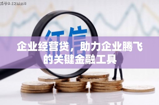 梓潼企业经营贷，助力企业腾飞的关键金融工具