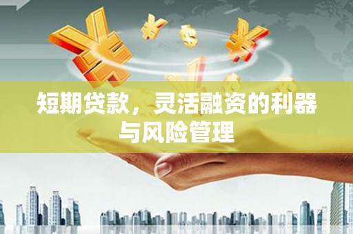 梓潼短期贷款，灵活融资的利器与风险管理