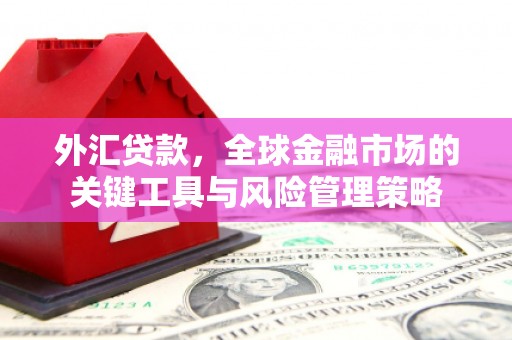 梓潼外汇贷款，全球金融市场的关键工具与风险管理策略
