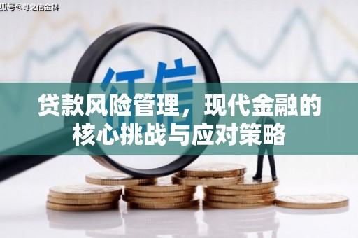 梓潼贷款风险管理，现代金融的核心挑战与应对策略