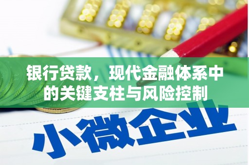 梓潼银行贷款，现代金融体系中的关键支柱与风险控制