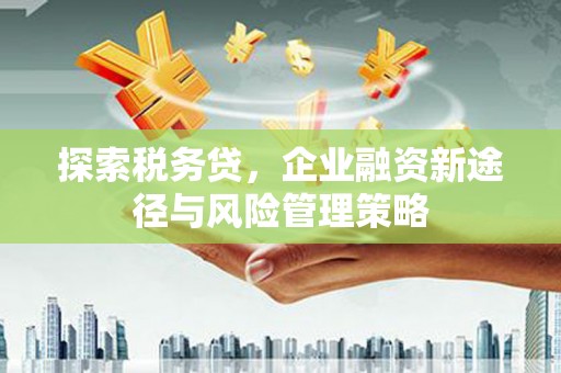 梓潼探索税务贷，企业融资新途径与风险管理策略