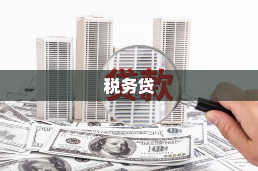 梓潼税务贷