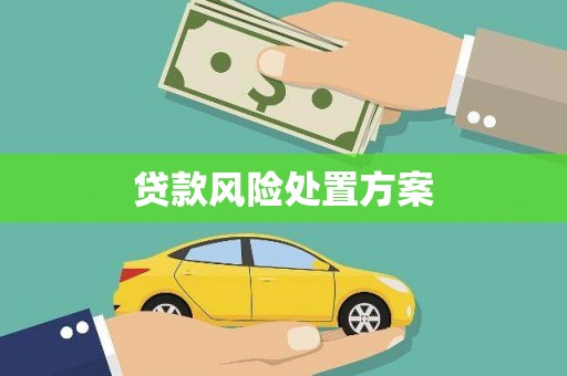 梓潼贷款风险处置方案
