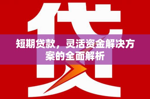 梓潼短期贷款，灵活资金解决方案的全面解析