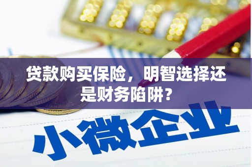 梓潼贷款购买保险，明智选择还是财务陷阱？