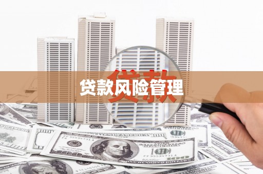 梓潼贷款风险管理