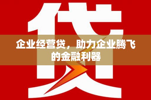 梓潼企业经营贷，助力企业腾飞的金融利器