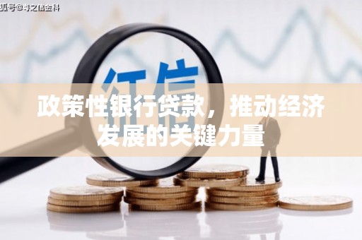 梓潼政策性银行贷款，推动经济发展的关键力量