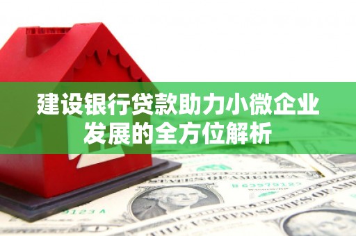 梓潼建设银行贷款助力小微企业发展的全方位解析