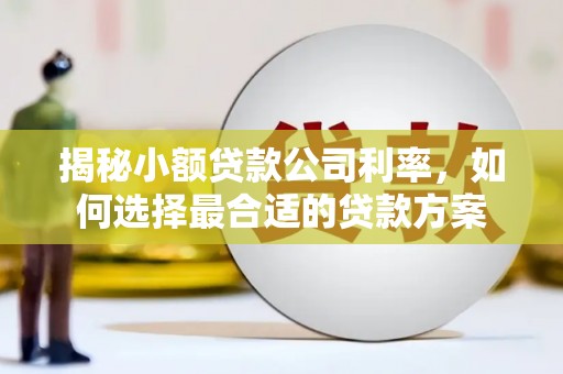 梓潼揭秘小额贷款公司利率，如何选择最合适的贷款方案
