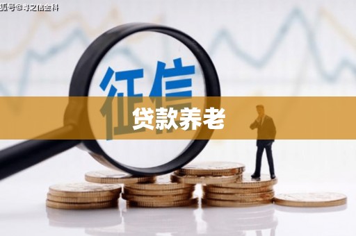 梓潼贷款养老