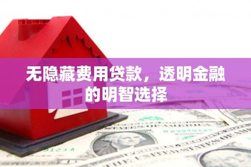 梓潼无隐藏费用贷款，透明金融的明智选择