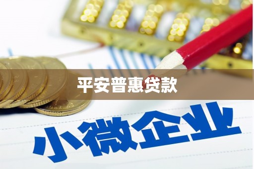 梓潼平安普惠贷款