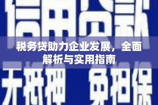 梓潼税务贷助力企业发展，全面解析与实用指南