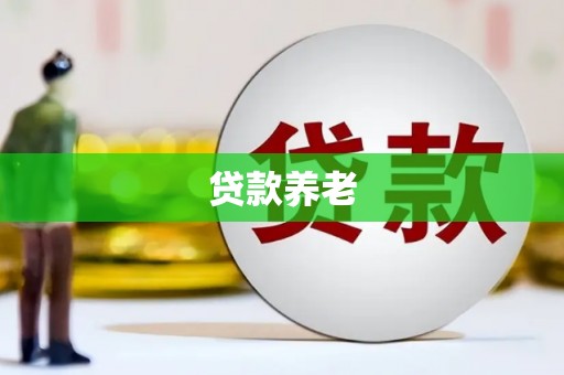 梓潼贷款养老
