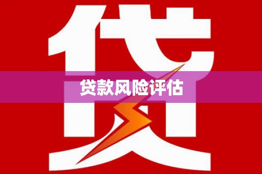 梓潼贷款风险评估
