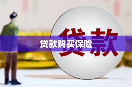 梓潼贷款购买保险