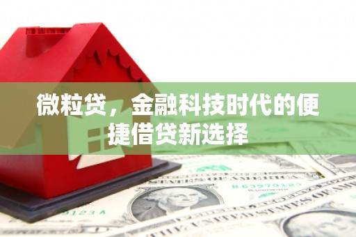 梓潼微粒贷，金融科技时代的便捷借贷新选择