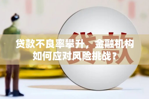 梓潼贷款不良率攀升，金融机构如何应对风险挑战？