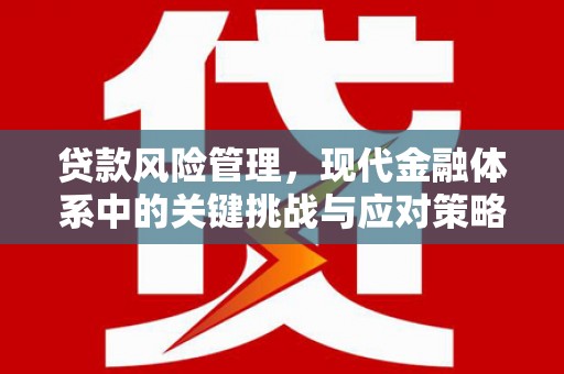 梓潼贷款风险管理，现代金融体系中的关键挑战与应对策略