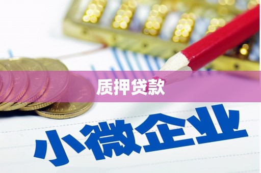 梓潼质押贷款