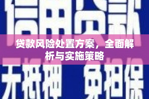 梓潼贷款风险处置方案，全面解析与实施策略