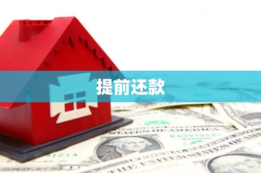 梓潼提前还款